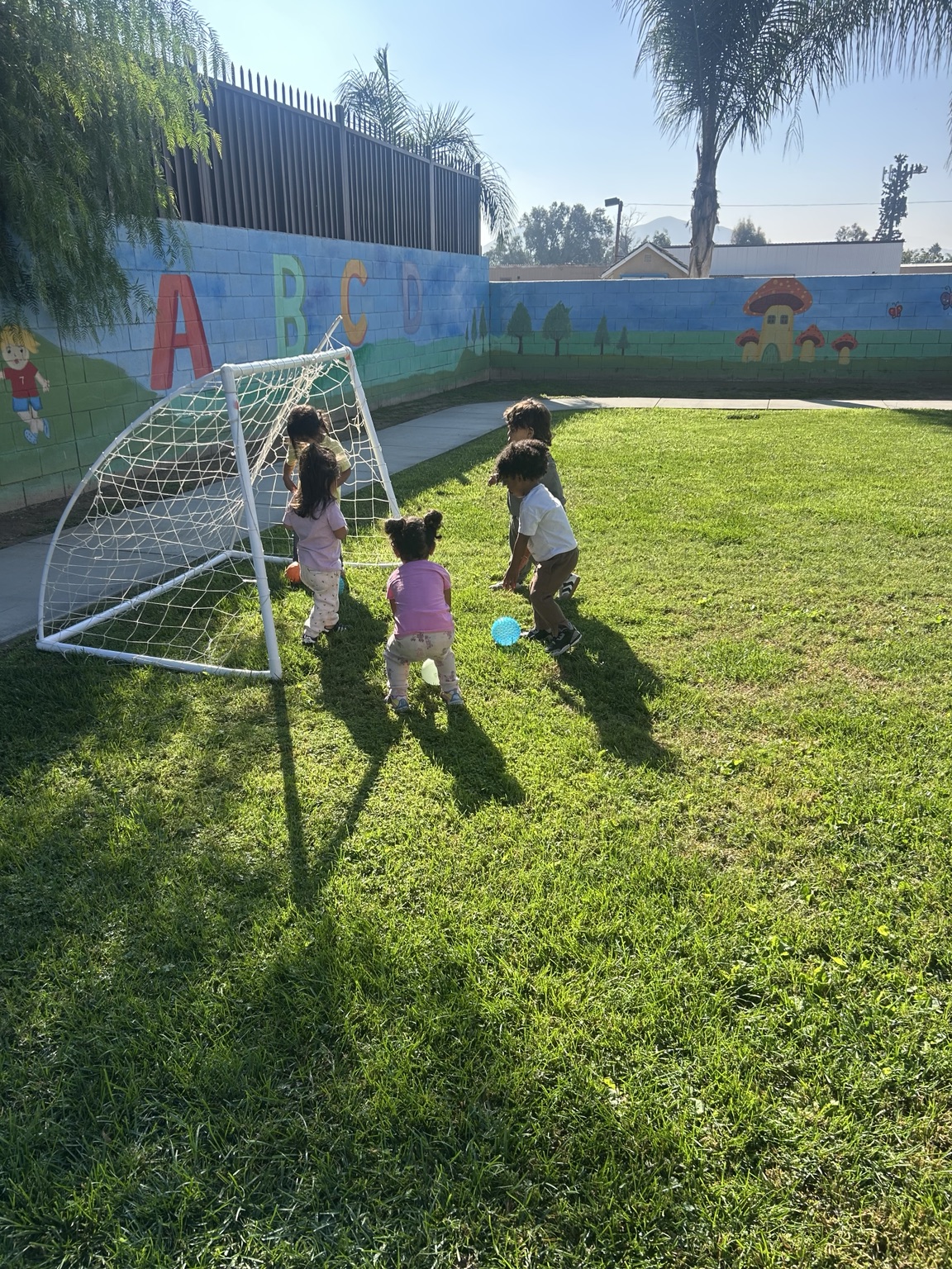 Room to run and play at Kingston Academy