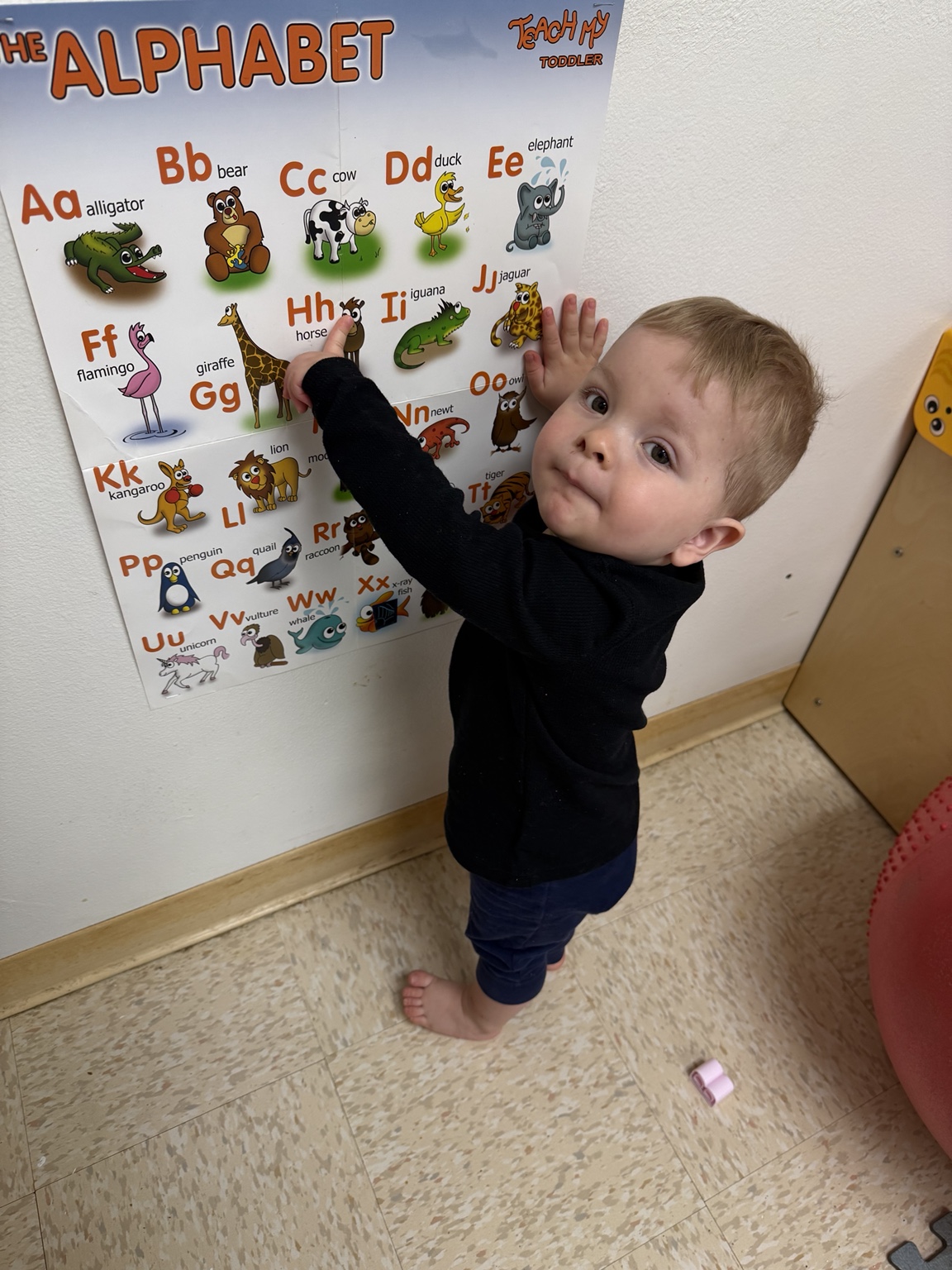 Letters within reach at Kingston Academy