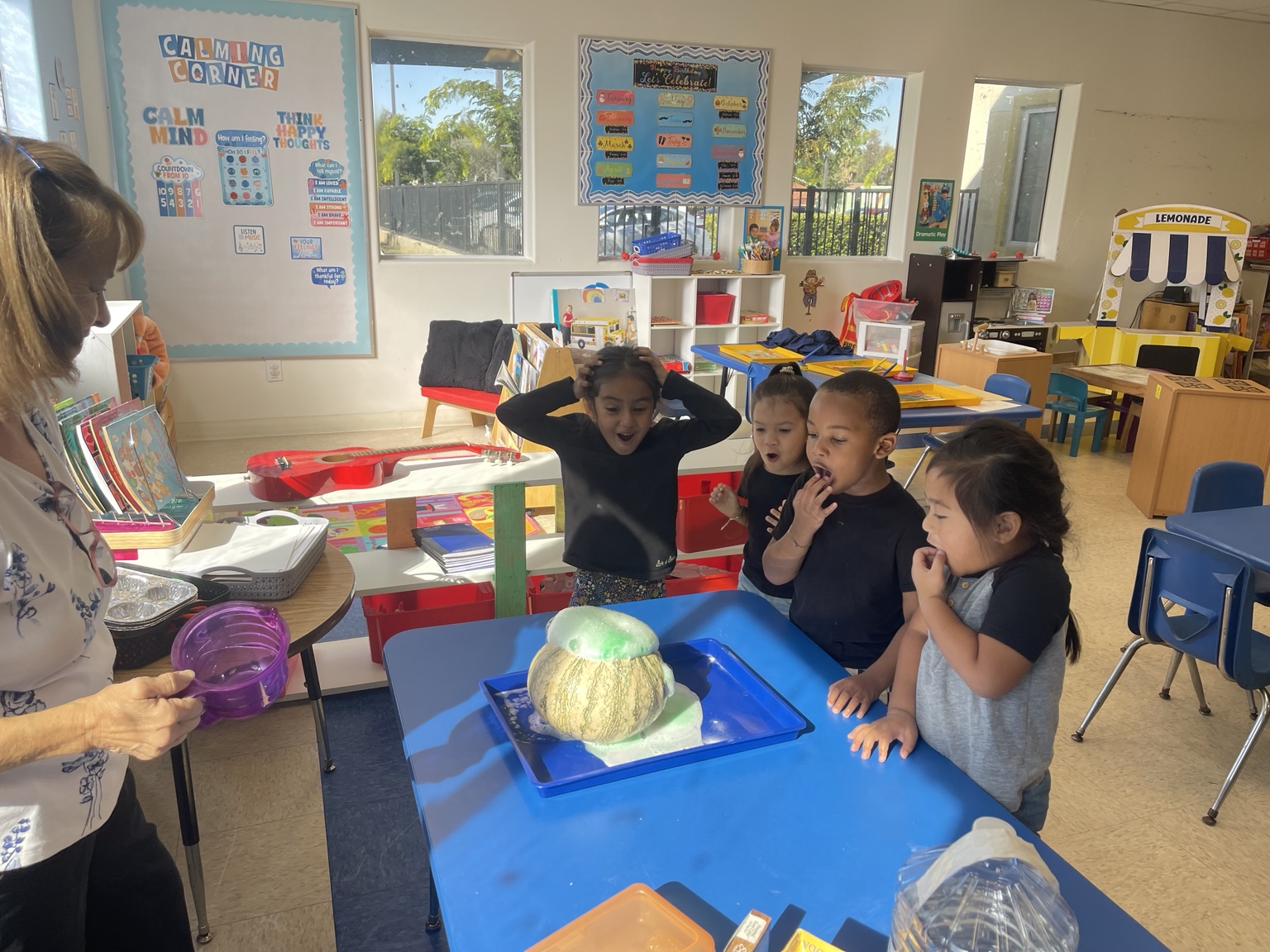 Science worth a closer look at Kingston Academy